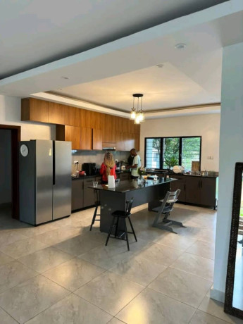 well-renovated-house-available-for-rent-at-kimihurura-near-kigali-heights-and-radisson-blue-hotel-big-5