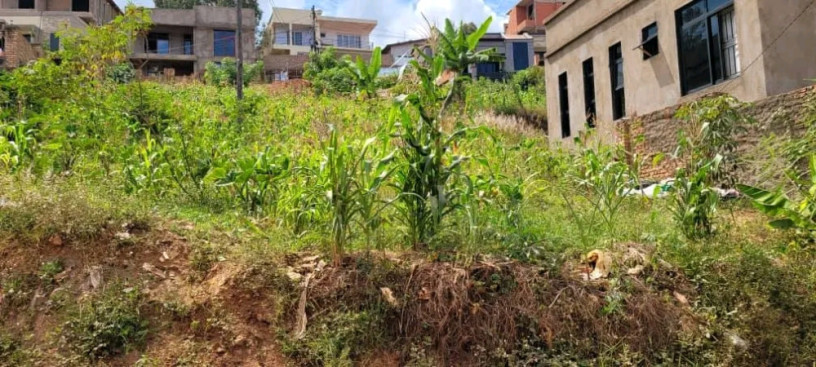 rebero-residential-plot-for-sale-55million-big-0