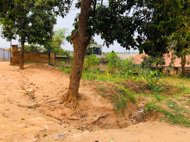kagugu-plot-for-sale-big-5