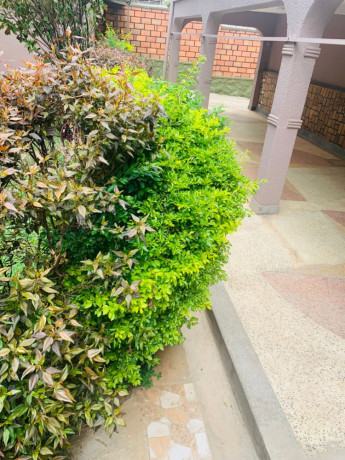 ep-062a-kiyovu-kiyovu-well-furnished-apartment-for-rent-at-lowest-price-at-450k-rwf-big-11