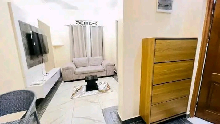 1bedroom-fully-furnished-apartments-for-rent-in-good-location-big-1
