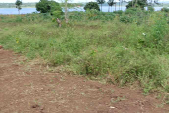 land-for-sale-in-bugesera-ririma-near-airport-of-rwanda-hot-deal-big-2