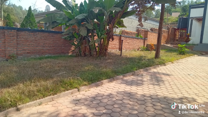 plot-for-sale-big-6