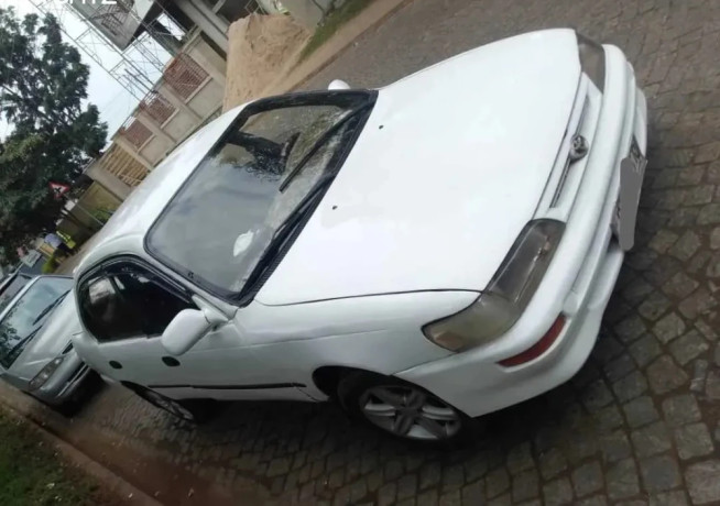 toyota-gikumi-big-1