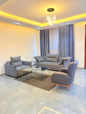 kibagabaga-nice-furnished-apartment-for-rent-in-kigali-big-9