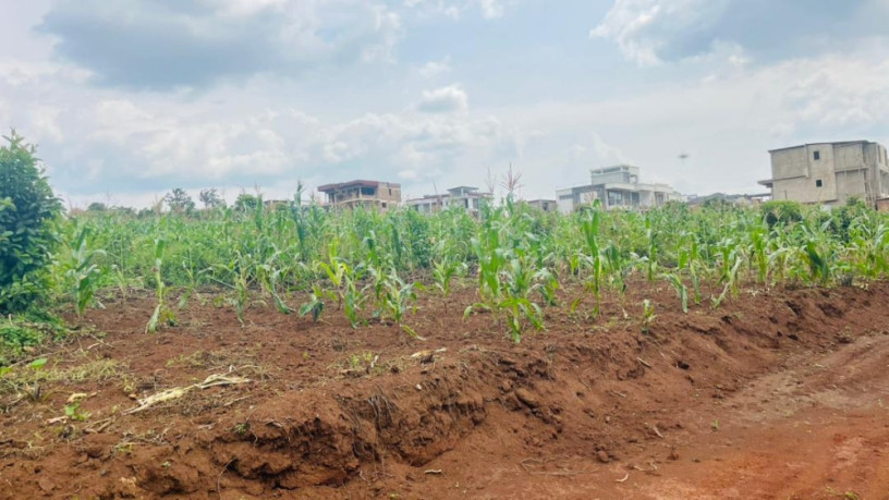 rusororo-near-rpf-plot-for-sale-in-kigali-big-0