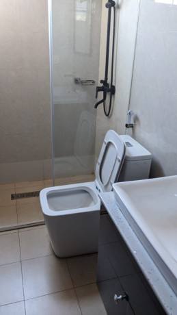 6-kibagabaga-fully-furnished-apartment-for-rent-big-4
