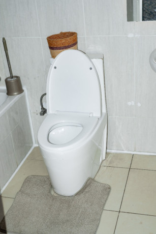 db-184b-gacuriro-gacuriro-well-furnished-house-for-rent-with-shared-swimming-pool-in-kigali-rwanda-big-12