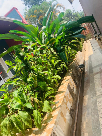 ep-062-kiyovu-kiyovu-well-furnished-studio-apartment-for-rent-at-lowest-price-at-250k-rwf-big-2