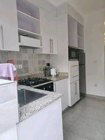 nyarutarama-near-mtn-furnished-apartment-for-rent-big-4