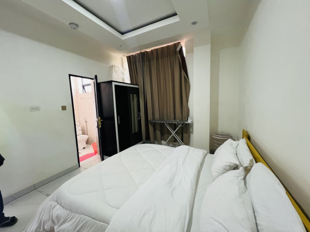 remera-furnished-apartment-for-rent-in-kigali-big-5