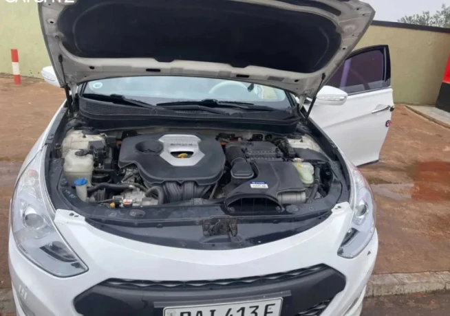 hyundai-sonata-big-1