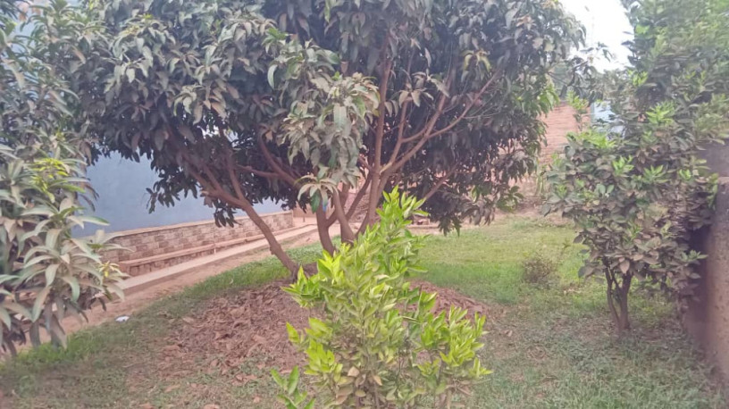 land-with-an-old-house-for-sale-big-6