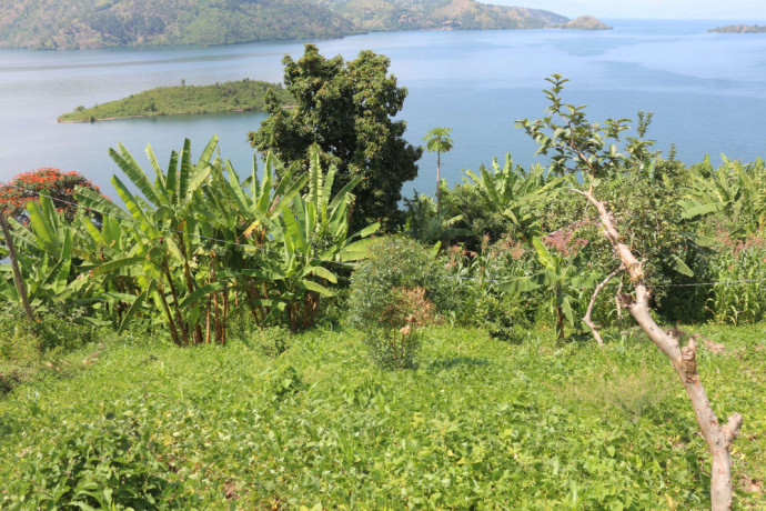 land-for-sale-in-karongi-rwanda-access-on-lake-kivu-big-0