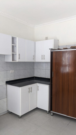 bs-11-kagugu-luxury-furnished-apartment-for-rent-big-11