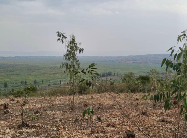 bugesera-plots-for-sale-in-kanzenze-big-0