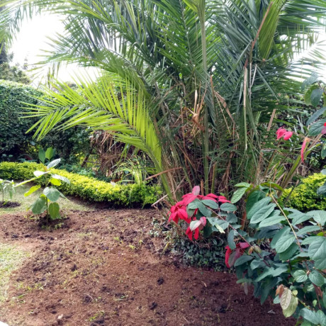 kacyiru-house-for-rent-in-kigali-big-8