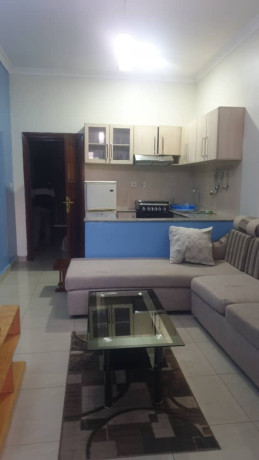 kimihurura-near-the-shooters-lounge-1bed-1bath-furnished-apartment-for-rent-in-kigali-big-0