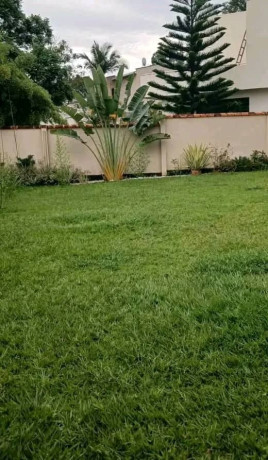 kiyovubeautiful-house-for-rent-big-2