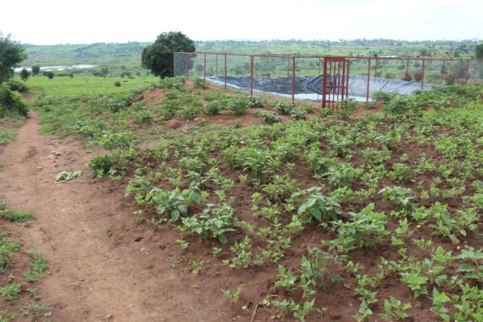 agriculture-land-for-sale-in-bugesera-gashora-rwanda-access-on-water-big-3