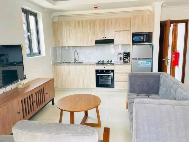 this-is-beautifully-fully-furnished-apartments-for-rent-in-kibagabaga-big-8