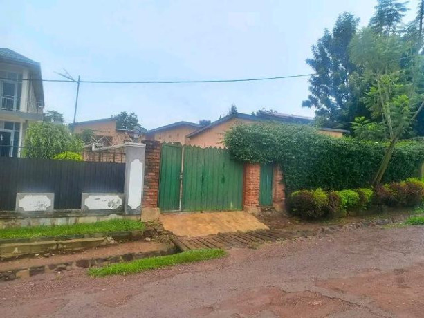 kibagabaga-big-1