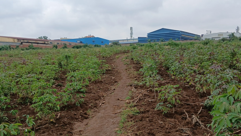 industrial-plot-for-sale-at-masoro-big-2