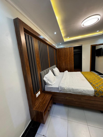 gishushu-1-bedroom-1-bath-furnished-apartment-for-rent-in-kigali-big-3