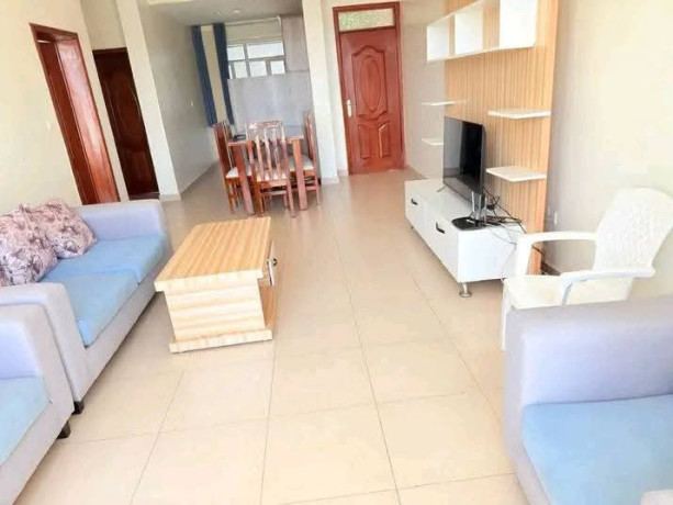 kigali-fully-furnished-apartments-for-rent-in-kimihurura-big-6