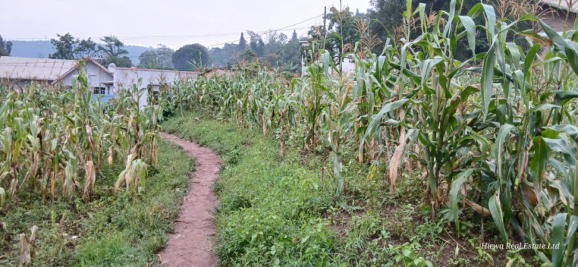 plot-for-sale-in-kinyina-big-8