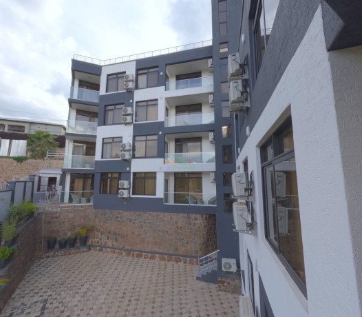kigali-stylish-1-bedroom-deluxe-accommodation-apartment-for-rent-in-remera-big-7
