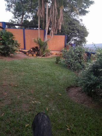 kigali-nice-house-available-for-sale-in-kimihurura-big-1