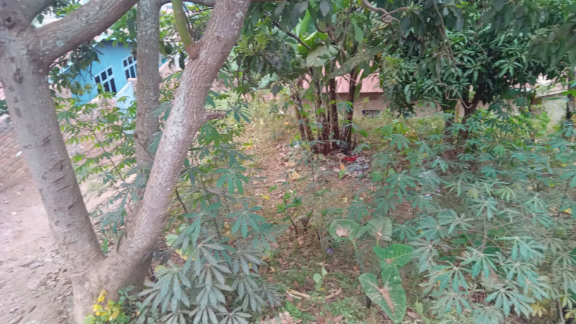 kigali-land-for-sale-in-nyamirambo-big-3