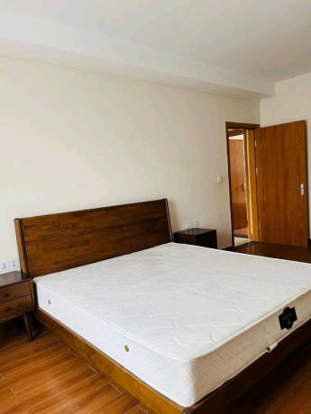 kagugu-fully-furnished-3bedrooms-apartment-for-rent-at-700-in-good-location-big-9
