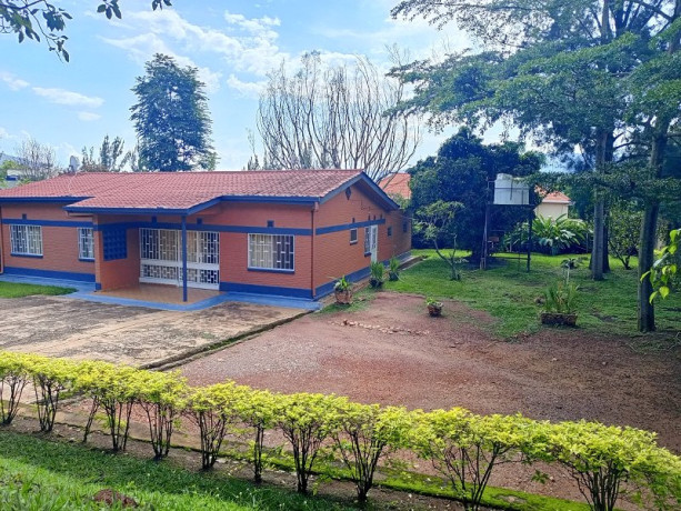 kigali-big-plot-for-sale-with-an-old-house-in-kimihurura-big-0