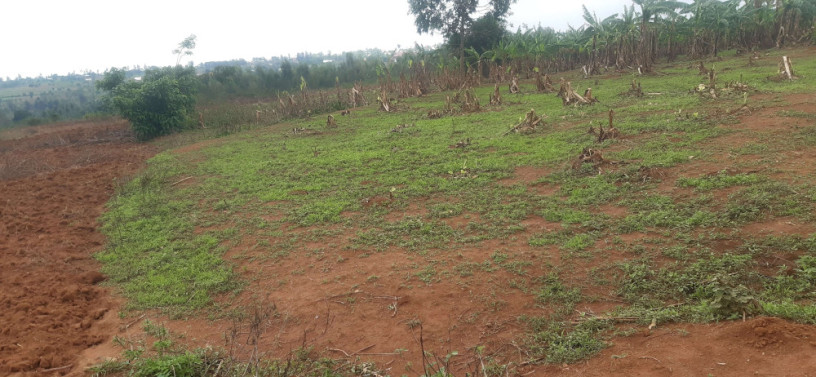 residential-land-for-sale-juru-near-airport-of-rwanda-big-2