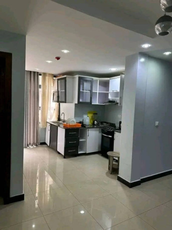 gacuriro-furnished-apartment-for-rent-in-kigali-big-2