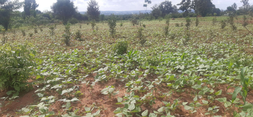 residential-plot-for-sale-in-bugesera-gashora-near-airport-hot-deal-view-of-lake-big-1