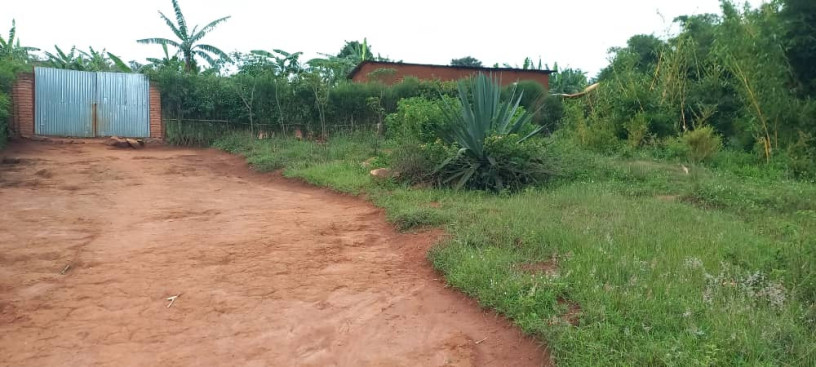 plot-for-sale-in-nyamata-at-a-good-price-big-0