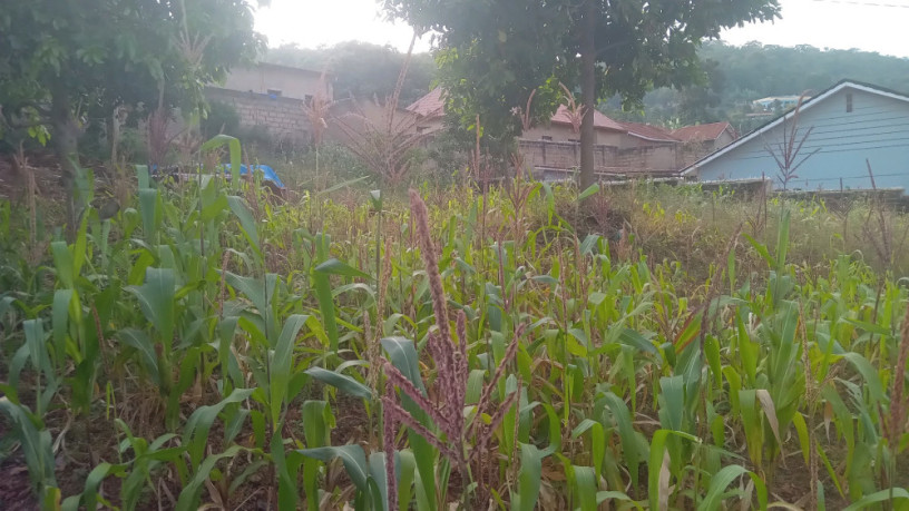 kigali-land-for-sale-in-nyamirambo-big-6