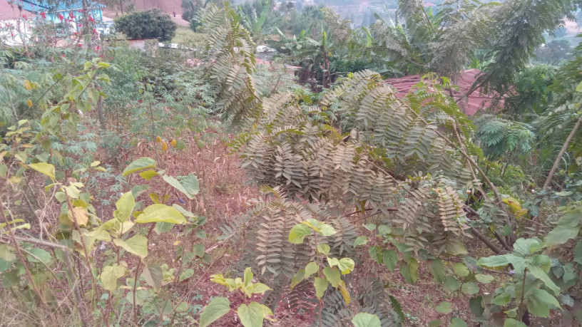 kigali-land-for-sale-in-rebero-facing-nyamirambo-side-big-5