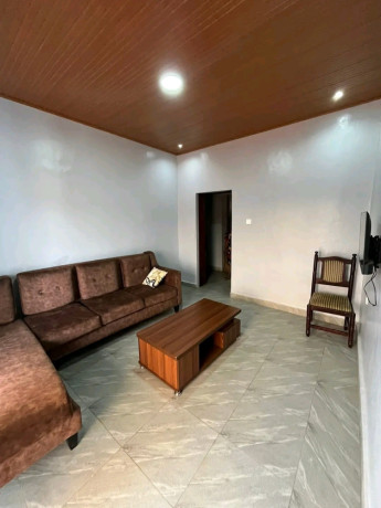 furnished-apartment-for-rent-in-kacyiru-big-0