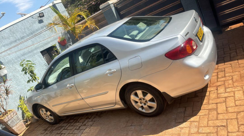 toyota-corolla-big-0