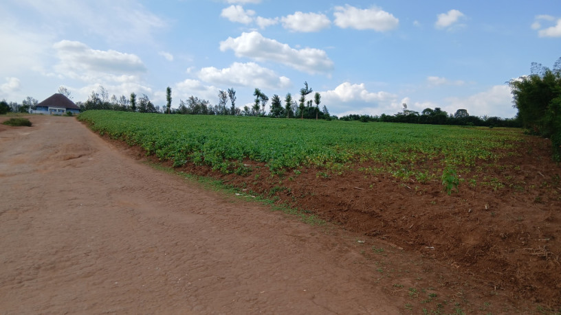 plot-for-sale-in-rusororo-at-a-good-price-big-0