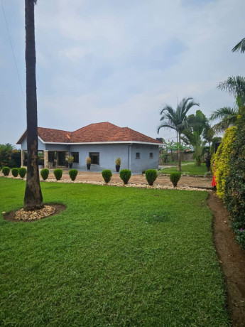 very-nice-house-with-huge-plot-house-for-sale-in-kicukiro-niboyi-on-tarmac-road-big-3