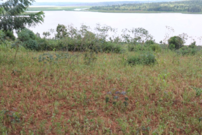 land-for-sale-in-bugesera-gashora-near-airport-of-rwanda-big-3