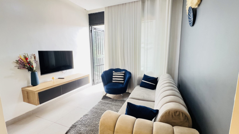 remera-near-bk-arena-1-bed-1bath-furnished-apartment-for-rent-in-kigali-big-0