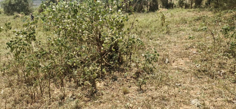 land-for-sale-in-bugesera-nyamata-town-of-rwanda-big-2