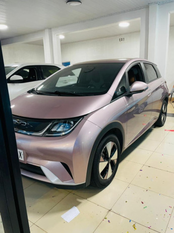 bs-69-byd-dolphin-2024-full-electric-car-for-sale-big-0