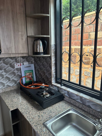 kimironko-1-bed-1bath-furnished-apartment-for-rent-in-kigali-big-8